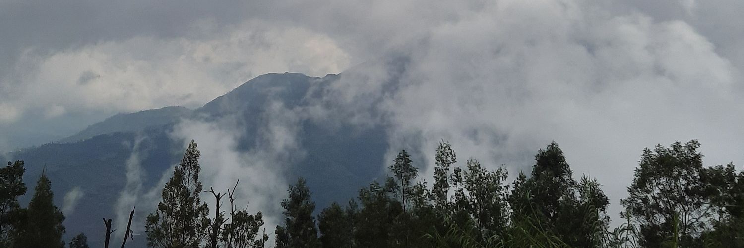mutaulia's profile banner image