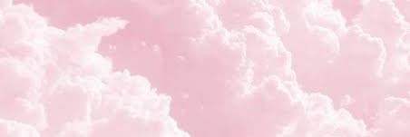 dinarestiptri's profile banner image
