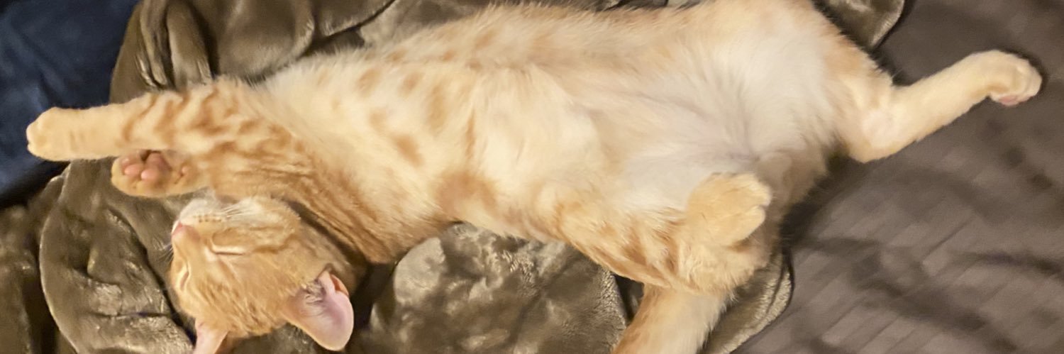 ぶぶちゃん banner