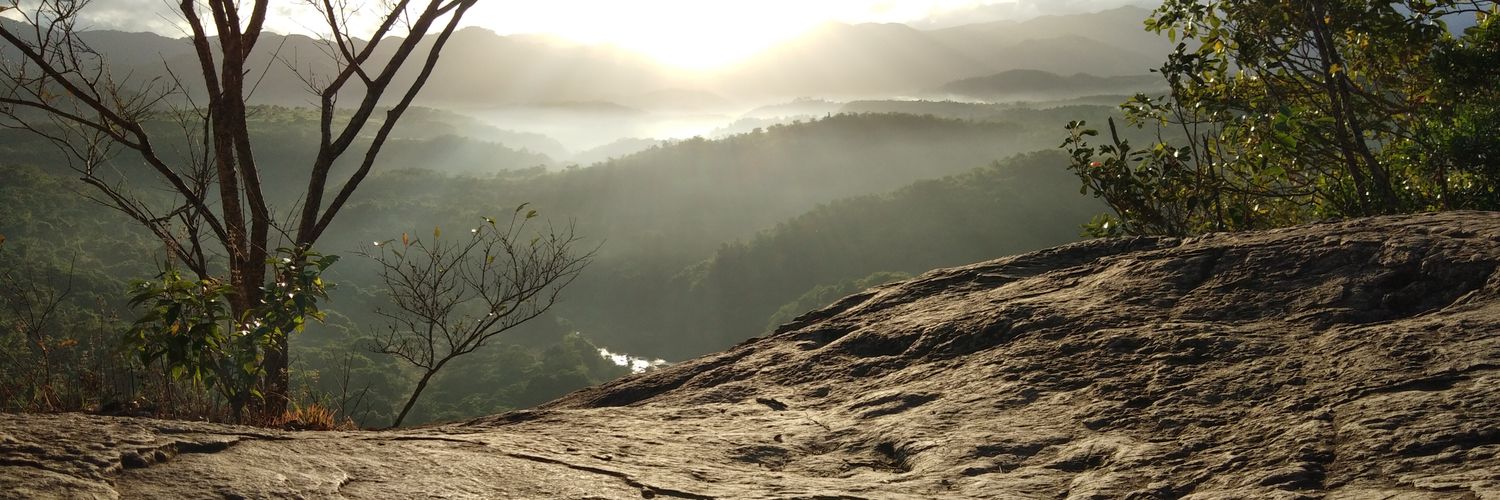 katstradaa's profile banner image