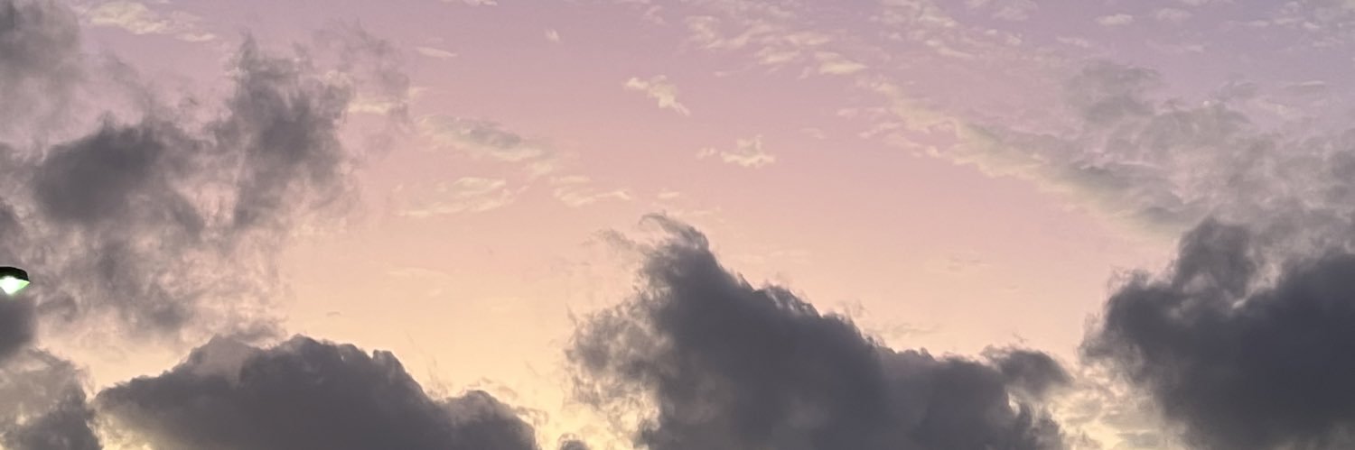 elzyork_'s profile banner image