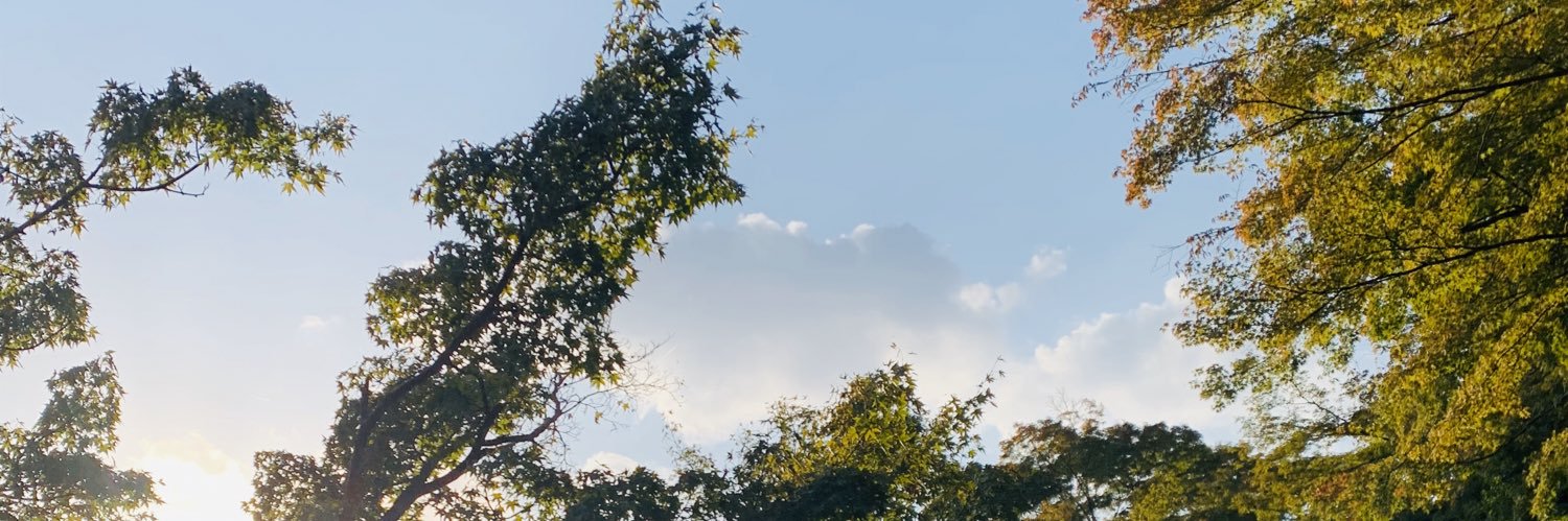maitan111's profile banner image