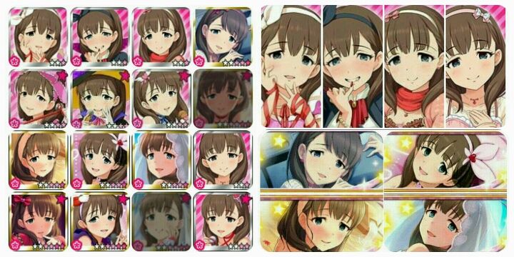 どぬと banner
