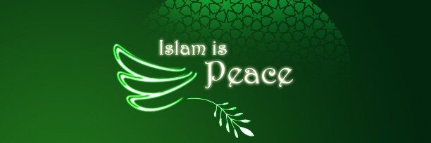 Mirsaera's profile banner image