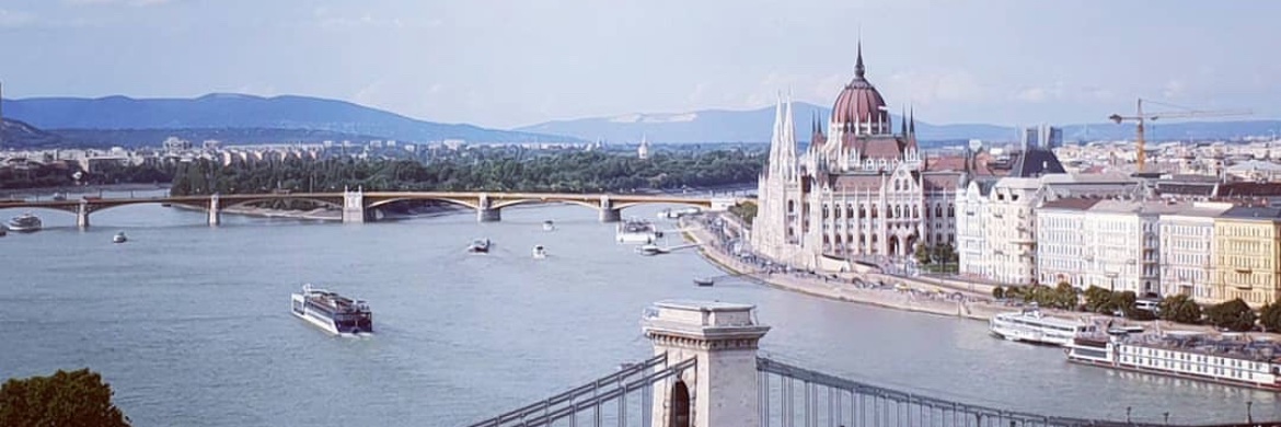 Bartosz Stachecki banner