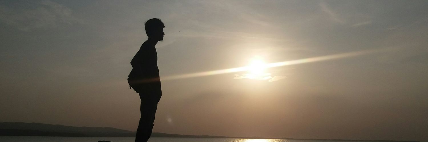 ernamaZAYN's profile banner image