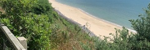 Sir Robert Syms banner