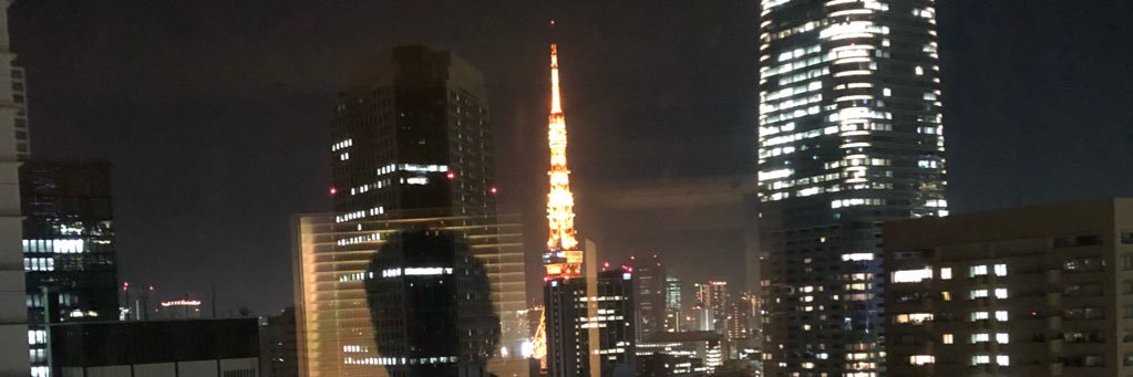 silviacarazo2's profile banner image