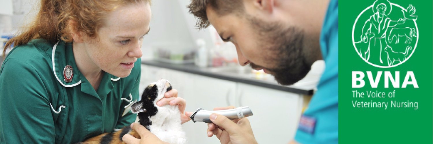 BVNA President banner