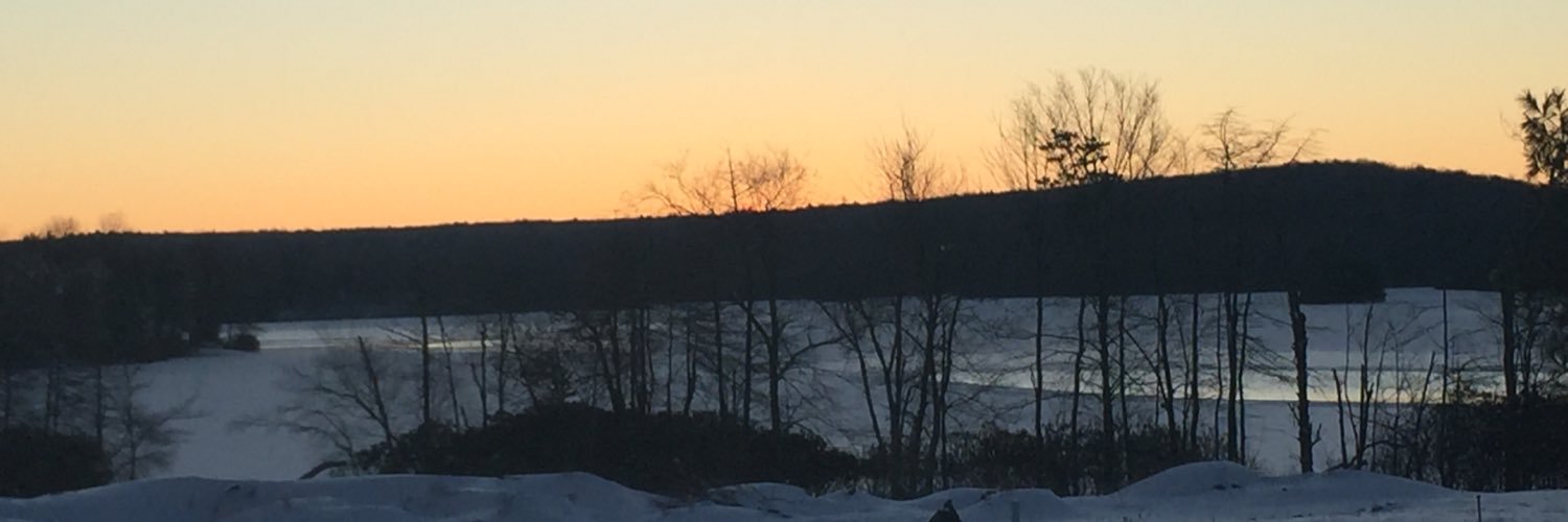 DawnDeMarco3's profile banner image