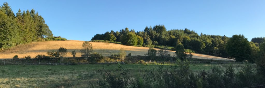 ralokony's profile banner image