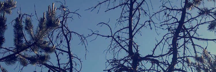 HaiAbAB's profile banner image