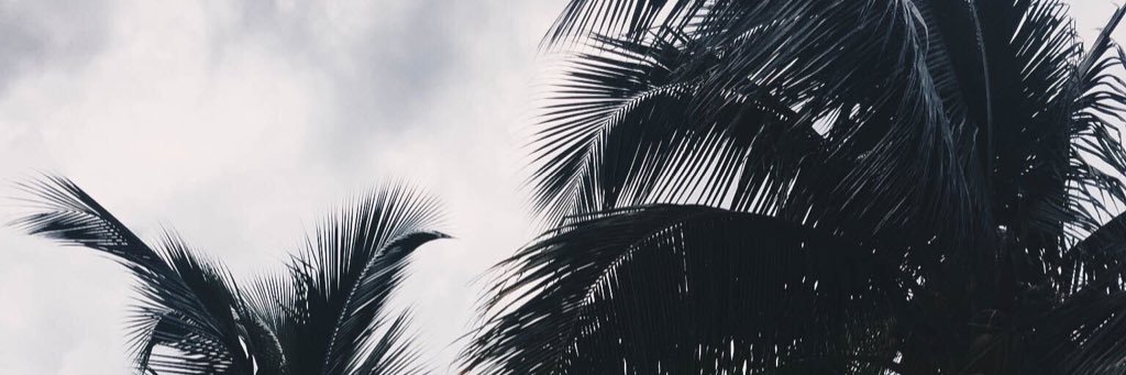 Ma_Ria_3's profile banner image