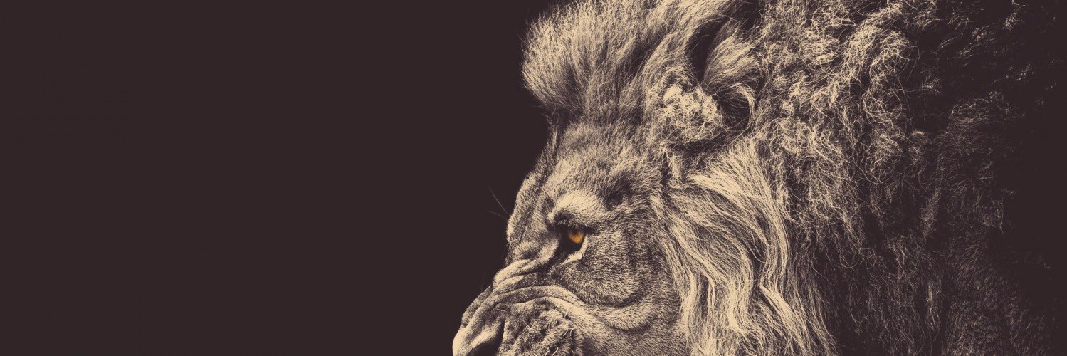 UnCommonSense00's profile banner image