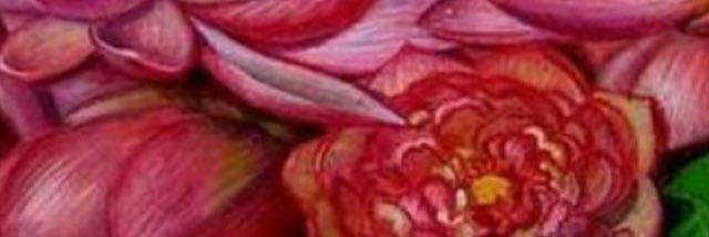 gexorgie's profile banner image