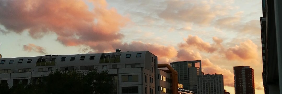 shirmpie_'s profile banner image