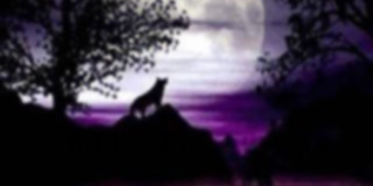 0829773's profile banner image