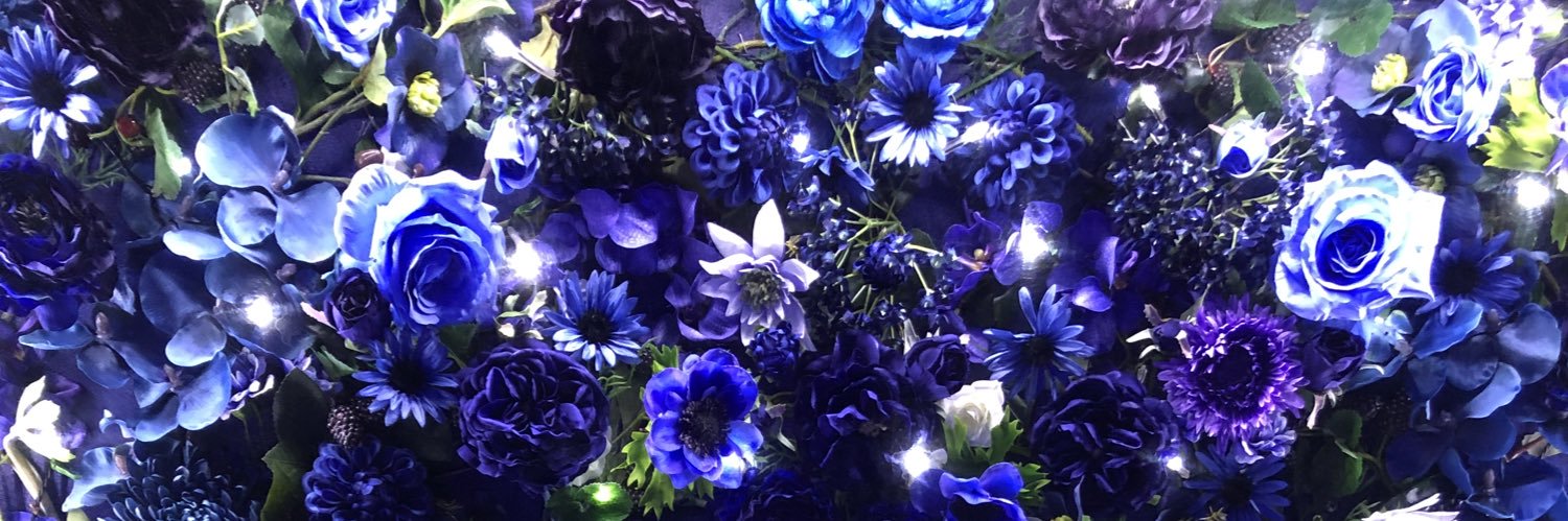 321chaos__'s profile banner image