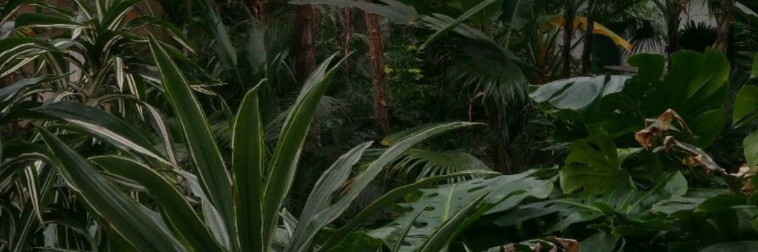 jns_g's profile banner image