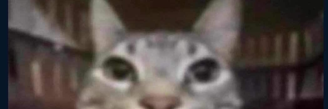 Duhleavemealone's profile banner image