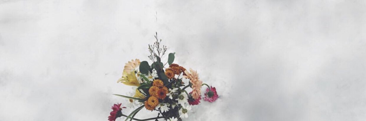 Kirsten Saladow banner