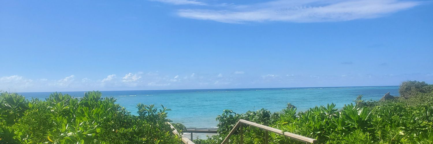 Ta20215973's profile banner image