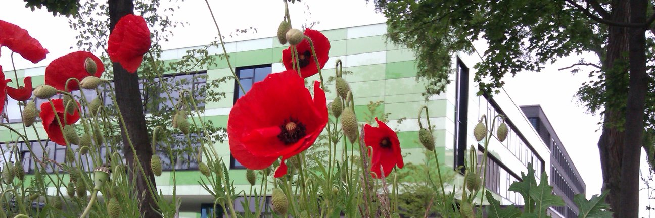 @JasFitzpatrick@ma📯 banner