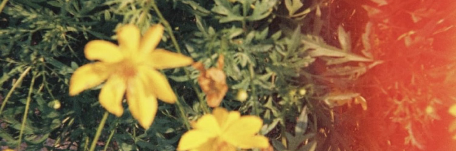 liispear's profile banner image