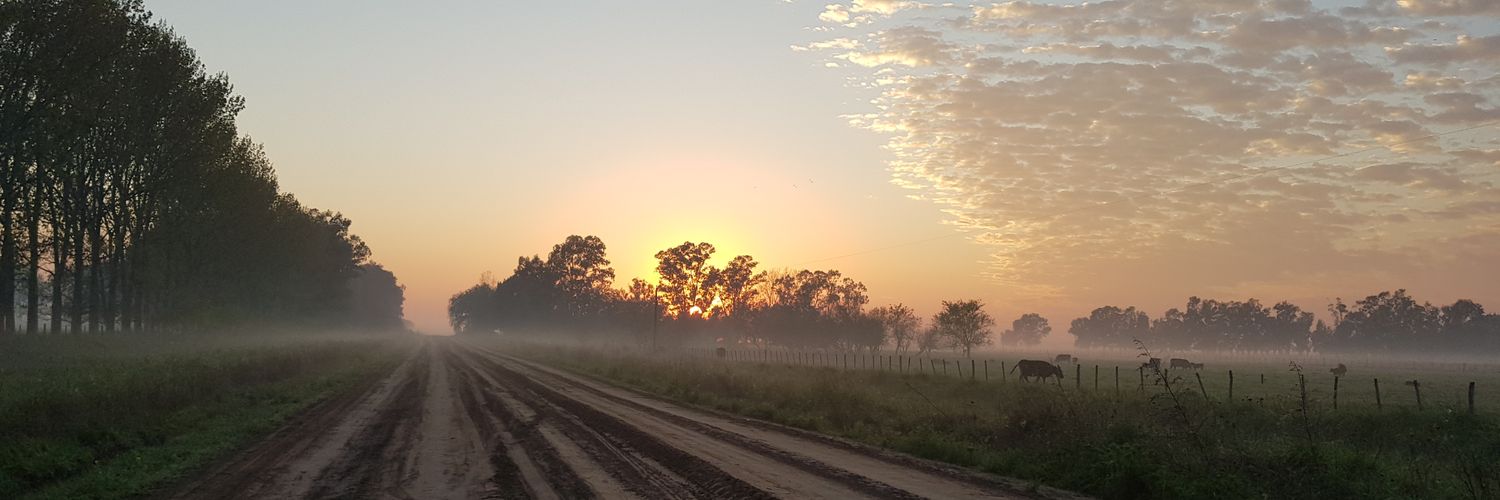 forodroga's profile banner image
