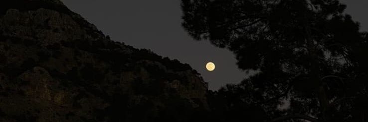 sidarturan21's profile banner image
