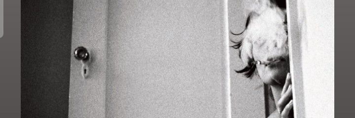micdogeyes's profile banner image