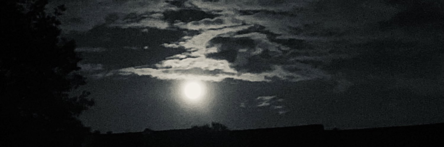 greenliz85's profile banner image