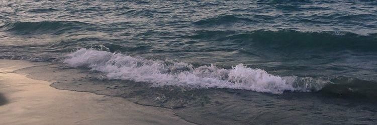 14Reuyz's profile banner image
