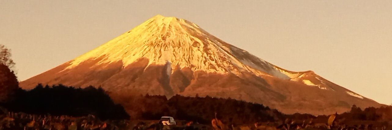 hanamithinoryu's profile banner image