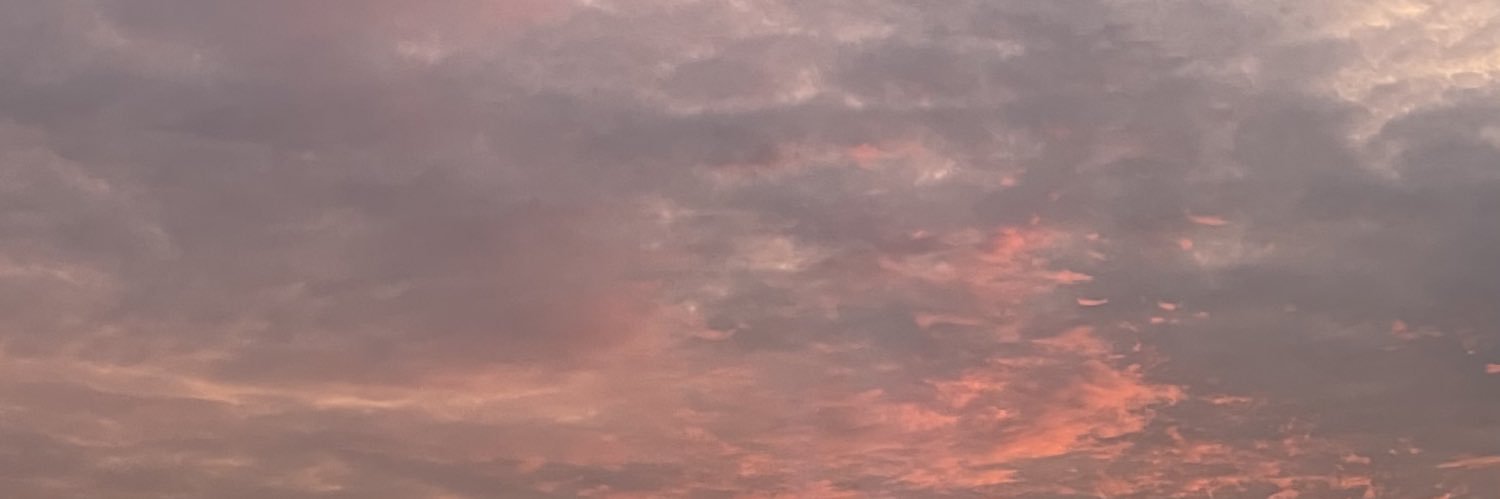 spaeswinter's profile banner image