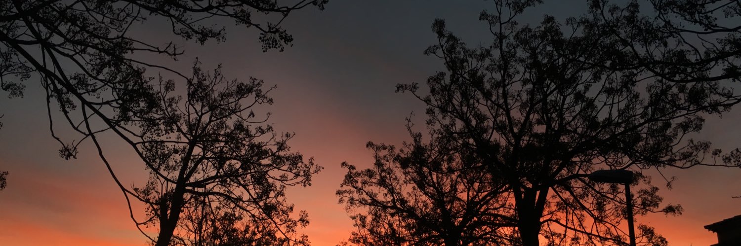 _fbirdtw's profile banner image