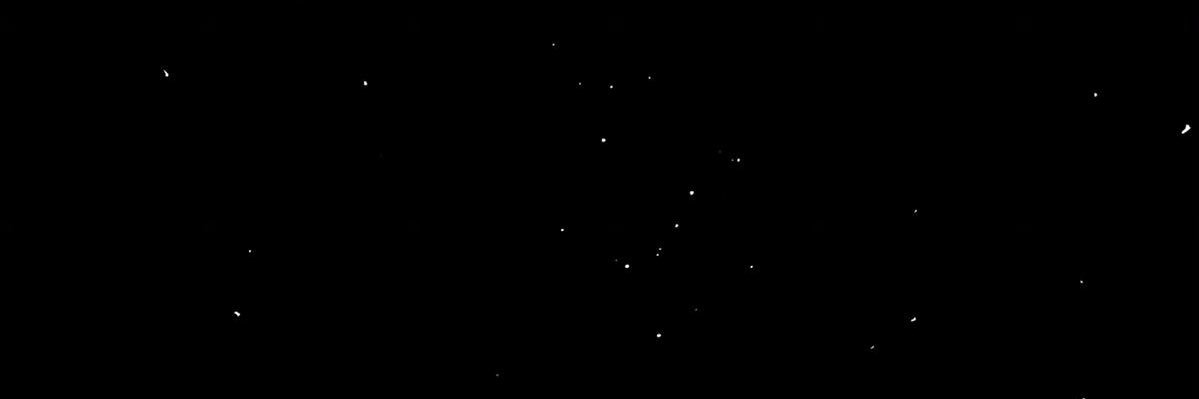 obrienvoiid's profile banner image