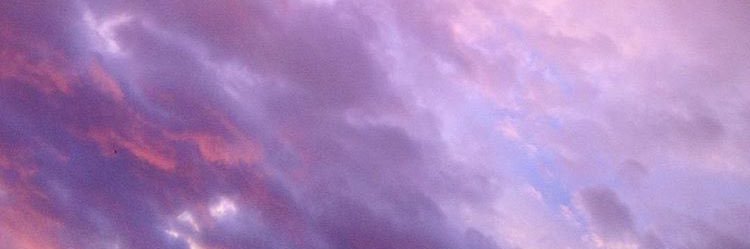 Notilona's profile banner image