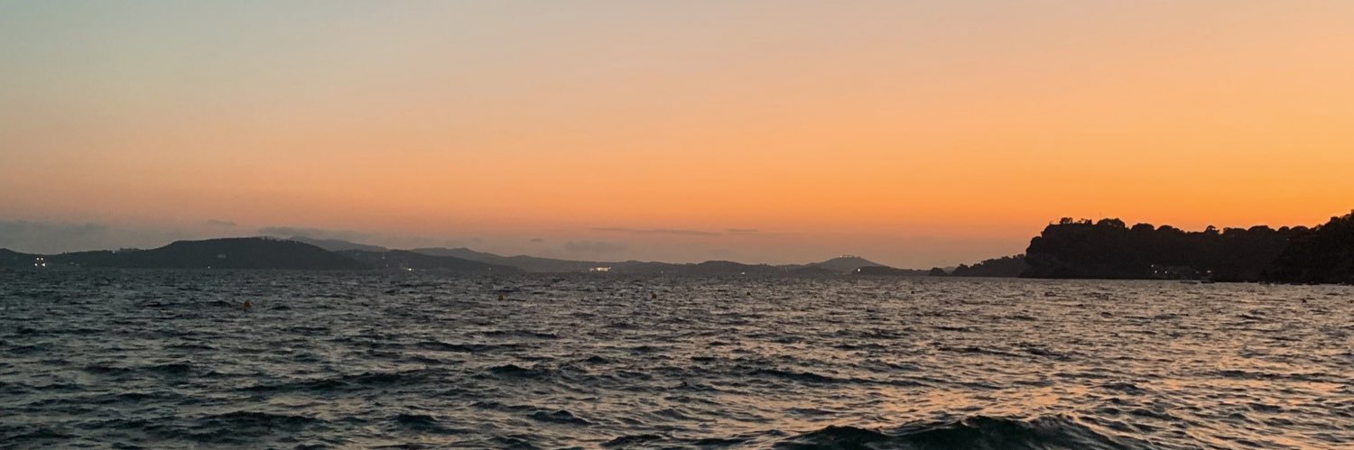 королева banner