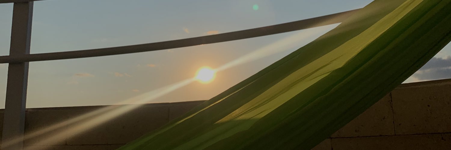 dash.dot banner