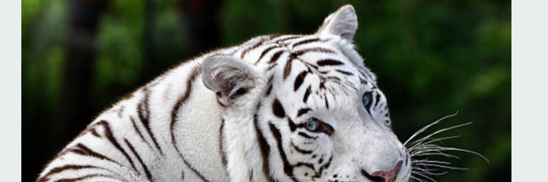 subhash11285's profile banner image