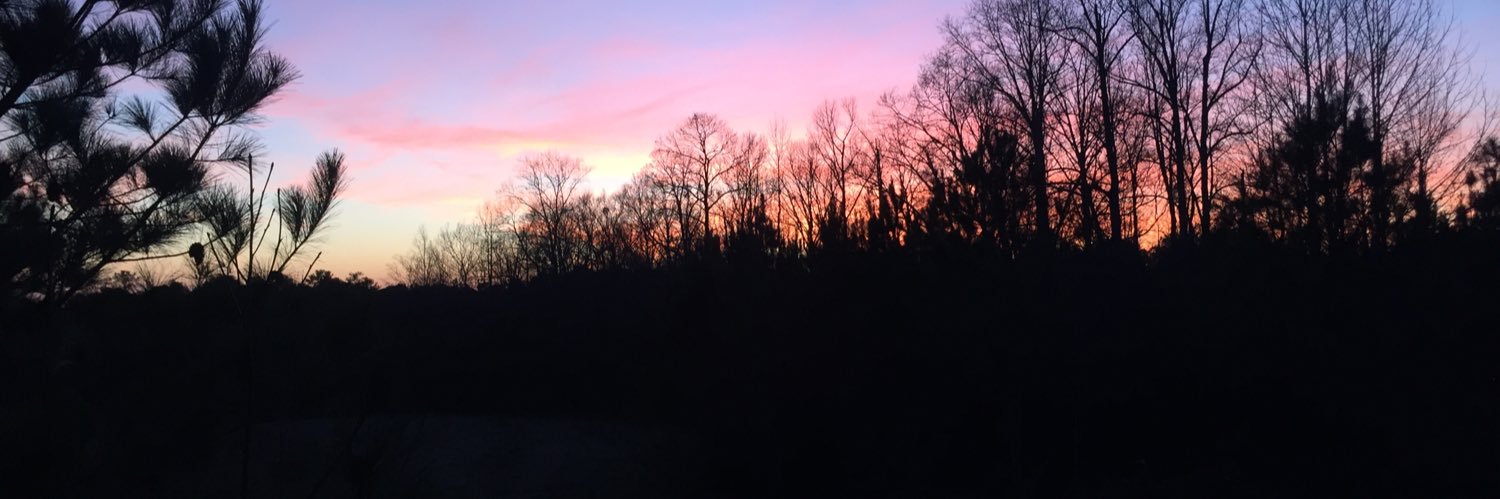 beck_sterling's profile banner image