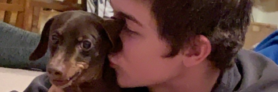 shellwine1234's profile banner image