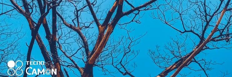 lexyklin's profile banner image