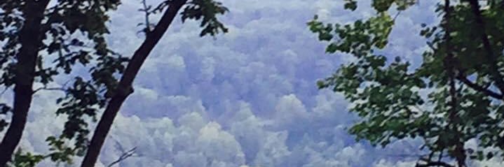 Sandy_CPA's profile banner image