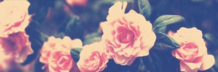 AsiaaBanasiaa's profile banner image