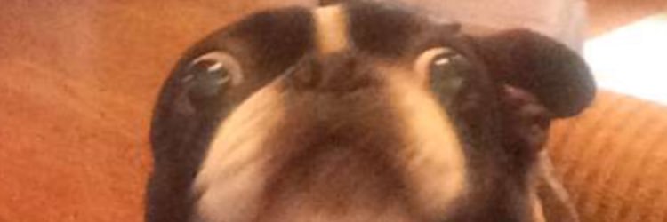 ringalls97's profile banner image