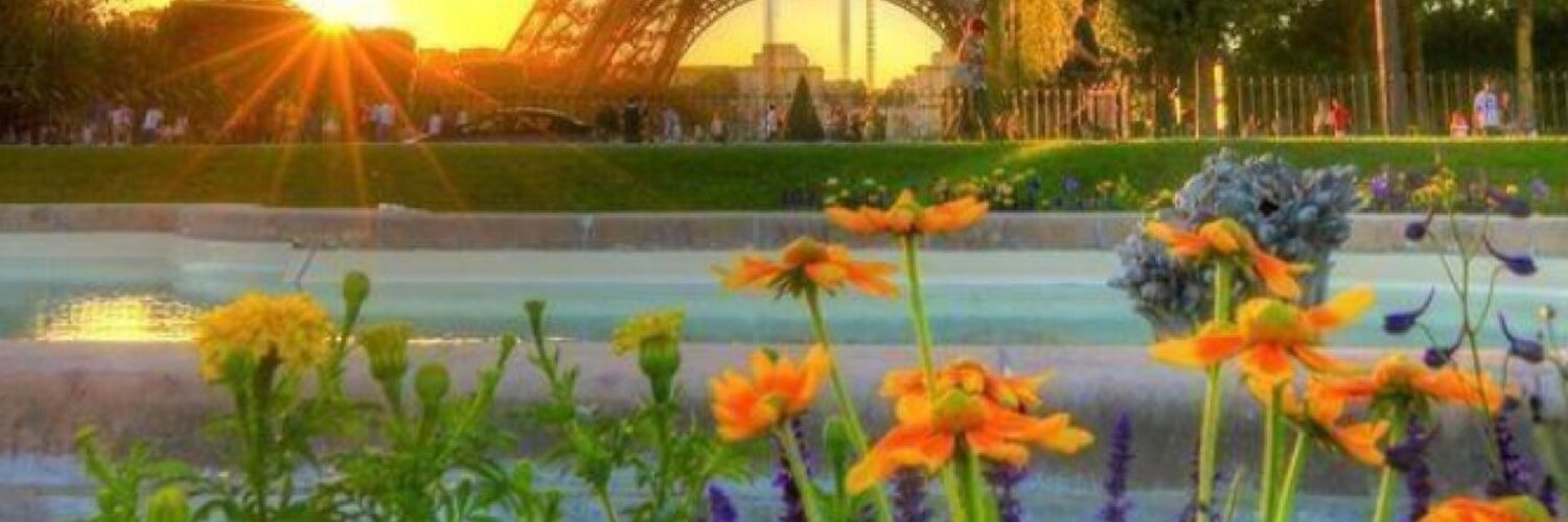 Shannon Rees (@Shannon_Rees) | Twitter