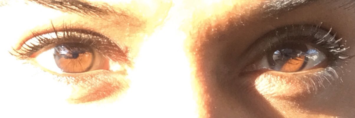 Anice Das banner