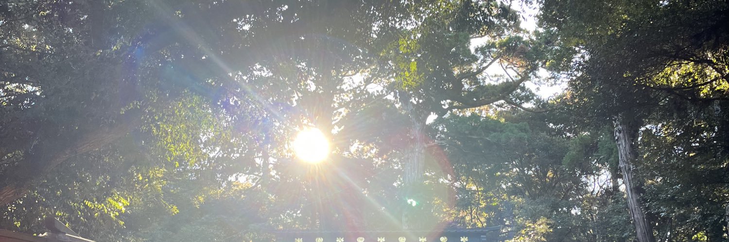 M_D_Log's profile banner image